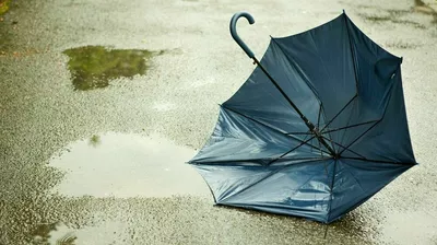 En paraply ligger på våt asfalt. Foto